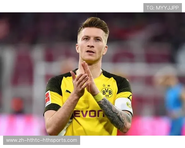 罗伊斯加盟德甲球队的贡献与未来展望